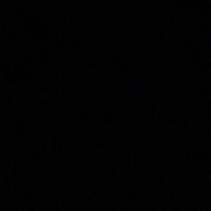 Meet your Posher, Havlyn